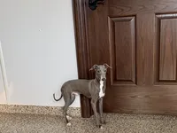 processed/9df88af3-7188-405a-9bb9-986e1332cdaa/listing/7c208e41-3f26-4739-8207-740cc3518c02/1e1de36f-b8a0-4751-a944-c029ce383d0f