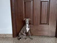 processed/9df88af3-7188-405a-9bb9-986e1332cdaa/listing/7c208e41-3f26-4739-8207-740cc3518c02/2aa93858-c4fd-444a-a245-5623ec642ba0