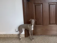 processed/9df88af3-7188-405a-9bb9-986e1332cdaa/listing/7c208e41-3f26-4739-8207-740cc3518c02/33fd530b-ec8b-437a-9a6c-7394a2986db5