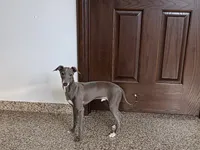 processed/9df88af3-7188-405a-9bb9-986e1332cdaa/listing/7c208e41-3f26-4739-8207-740cc3518c02/fbdb11d4-c284-4bd2-a62d-f8d82ed53116