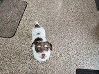 processed/9df88af3-7188-405a-9bb9-986e1332cdaa/listing/7fc30927-a462-438e-b0f2-7096bcde87c6/354ffec4-008d-41d3-a945-2b4148a3d73d