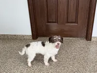 processed/9df88af3-7188-405a-9bb9-986e1332cdaa/listing/7fc30927-a462-438e-b0f2-7096bcde87c6/9d4b913d-7e66-4e4b-a5de-18172e436c66