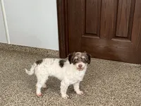 processed/9df88af3-7188-405a-9bb9-986e1332cdaa/listing/7fc30927-a462-438e-b0f2-7096bcde87c6/caa58f01-f8bf-4c6f-9df3-edfdfb6aa8b7