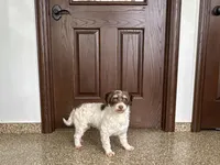 processed/9df88af3-7188-405a-9bb9-986e1332cdaa/listing/7fc30927-a462-438e-b0f2-7096bcde87c6/d5e9b2fe-4f81-420d-8a61-4d9023a9015e