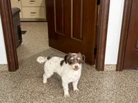 processed/9df88af3-7188-405a-9bb9-986e1332cdaa/listing/7fc30927-a462-438e-b0f2-7096bcde87c6/efec9b20-557f-4c71-9d50-ebb2d2c6b3e9