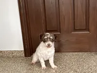 processed/9df88af3-7188-405a-9bb9-986e1332cdaa/listing/7fc30927-a462-438e-b0f2-7096bcde87c6/f25f119d-158d-465b-bbe8-a7f86a984963