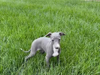 processed/9df88af3-7188-405a-9bb9-986e1332cdaa/listing/833051c7-f60f-4811-bc74-d9f1986b1495/1e347643-5285-428f-aa24-c506a0a06f1a