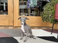 processed/9df88af3-7188-405a-9bb9-986e1332cdaa/listing/833051c7-f60f-4811-bc74-d9f1986b1495/2318993b-de14-4109-af11-9fe08a7c1e94