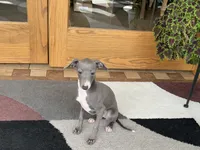 processed/9df88af3-7188-405a-9bb9-986e1332cdaa/listing/833051c7-f60f-4811-bc74-d9f1986b1495/74a47794-bf87-4e15-8681-a75a3ca0f948