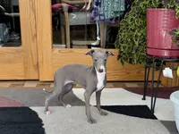 processed/9df88af3-7188-405a-9bb9-986e1332cdaa/listing/833051c7-f60f-4811-bc74-d9f1986b1495/7c70a970-c83d-4e35-be18-264edd4484de