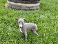 processed/9df88af3-7188-405a-9bb9-986e1332cdaa/listing/833051c7-f60f-4811-bc74-d9f1986b1495/de72c36d-162c-45fa-8b8f-18d32431f174