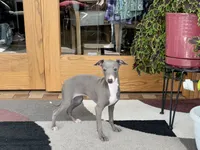 processed/9df88af3-7188-405a-9bb9-986e1332cdaa/listing/833051c7-f60f-4811-bc74-d9f1986b1495/ec1f5626-7299-4f7b-afd0-1c7e869fe599