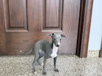 processed/9df88af3-7188-405a-9bb9-986e1332cdaa/listing/833051c7-f60f-4811-bc74-d9f1986b1495/fbff2f4f-c564-4c19-b1e0-a3b887982997