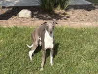 processed/9df88af3-7188-405a-9bb9-986e1332cdaa/listing/860f0183-b115-4c35-92a8-1dcbf66b67c2/439f5091-1203-47cb-b740-8580b41402f8