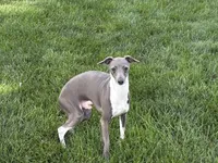 processed/9df88af3-7188-405a-9bb9-986e1332cdaa/listing/860f0183-b115-4c35-92a8-1dcbf66b67c2/ba1b6dd9-1fdb-4ff5-bc96-18bd93b19232