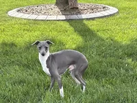 processed/9df88af3-7188-405a-9bb9-986e1332cdaa/listing/860f0183-b115-4c35-92a8-1dcbf66b67c2/cbf9e00d-a3ee-4c7a-8925-c4cf63a92a7f