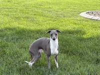 processed/9df88af3-7188-405a-9bb9-986e1332cdaa/listing/860f0183-b115-4c35-92a8-1dcbf66b67c2/e03b9b6e-062a-45a8-bc78-5bb0211c5d35