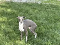 processed/9df88af3-7188-405a-9bb9-986e1332cdaa/listing/860f0183-b115-4c35-92a8-1dcbf66b67c2/fcd75071-b244-448b-b1dc-1d9b22b5979a