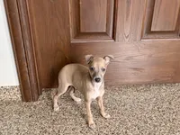 processed/9df88af3-7188-405a-9bb9-986e1332cdaa/listing/92c51d8d-8a6e-4ef9-b115-763718e39673/7918188a-948d-49de-ae29-be586eed5b4f