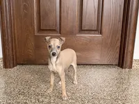 processed/9df88af3-7188-405a-9bb9-986e1332cdaa/listing/92c51d8d-8a6e-4ef9-b115-763718e39673/a281615c-f2ad-4260-8506-f28a946f052f