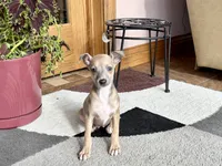 processed/9df88af3-7188-405a-9bb9-986e1332cdaa/listing/92c51d8d-8a6e-4ef9-b115-763718e39673/a3723782-211b-4d12-9aef-5eca5479361b