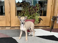 processed/9df88af3-7188-405a-9bb9-986e1332cdaa/listing/92c51d8d-8a6e-4ef9-b115-763718e39673/aec9bdb3-b773-48d8-ba1a-c1d5d04d2922