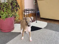 processed/9df88af3-7188-405a-9bb9-986e1332cdaa/listing/92c51d8d-8a6e-4ef9-b115-763718e39673/f3cf8c5d-d712-41c9-beea-e58cb1806533