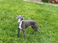 processed/9df88af3-7188-405a-9bb9-986e1332cdaa/listing/a8ddf7f6-6448-46c5-b915-f78542a3b14b/24540436-9d4d-4433-9be4-03405d259e85