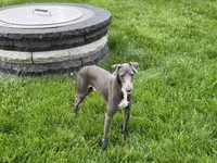 processed/9df88af3-7188-405a-9bb9-986e1332cdaa/listing/a8ddf7f6-6448-46c5-b915-f78542a3b14b/26bd3356-c95a-4f15-9b69-af06730aa73c