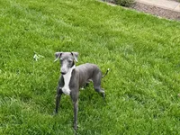 processed/9df88af3-7188-405a-9bb9-986e1332cdaa/listing/a8ddf7f6-6448-46c5-b915-f78542a3b14b/383c21f6-0a77-46a5-9eb4-bc820729b68c