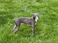 processed/9df88af3-7188-405a-9bb9-986e1332cdaa/listing/a8ddf7f6-6448-46c5-b915-f78542a3b14b/806dfe49-2894-4c95-9c02-1481b1689b94