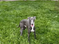 processed/9df88af3-7188-405a-9bb9-986e1332cdaa/listing/a8ddf7f6-6448-46c5-b915-f78542a3b14b/945a1017-a80a-4d22-b958-d043587b4736