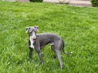 processed/9df88af3-7188-405a-9bb9-986e1332cdaa/listing/a8ddf7f6-6448-46c5-b915-f78542a3b14b/c2bc565e-f4dd-4e2c-9160-7466049df281