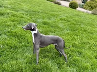 processed/9df88af3-7188-405a-9bb9-986e1332cdaa/listing/a8ddf7f6-6448-46c5-b915-f78542a3b14b/cac740ac-362e-40a2-aa37-7c222ebb7f6c