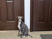 processed/9df88af3-7188-405a-9bb9-986e1332cdaa/listing/ab8b6024-45be-4808-a242-750816a75f19/030dccb5-6937-4505-8747-0dc1d4bde376