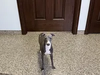 processed/9df88af3-7188-405a-9bb9-986e1332cdaa/listing/ab8b6024-45be-4808-a242-750816a75f19/08f286b7-0f09-4e54-acd5-5ce30cd6ac5a