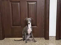 processed/9df88af3-7188-405a-9bb9-986e1332cdaa/listing/ab8b6024-45be-4808-a242-750816a75f19/0f4b0395-59a9-4d7e-acda-a06713d1a62f