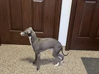 processed/9df88af3-7188-405a-9bb9-986e1332cdaa/listing/ab8b6024-45be-4808-a242-750816a75f19/15056daa-22d1-4f79-88ce-d7f2a63648e7