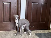 processed/9df88af3-7188-405a-9bb9-986e1332cdaa/listing/ab8b6024-45be-4808-a242-750816a75f19/2e9eb98a-1856-4765-b799-cb320972d3de