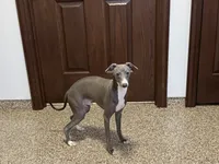 processed/9df88af3-7188-405a-9bb9-986e1332cdaa/listing/ab8b6024-45be-4808-a242-750816a75f19/39943143-e32a-4056-baab-6c630b6d809c