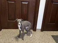 processed/9df88af3-7188-405a-9bb9-986e1332cdaa/listing/ab8b6024-45be-4808-a242-750816a75f19/48e03580-25b1-433e-aa50-91280a8a135f