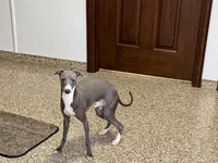 processed/9df88af3-7188-405a-9bb9-986e1332cdaa/listing/ab8b6024-45be-4808-a242-750816a75f19/dc963f74-789a-46ac-94c7-cb1ec4ba9513