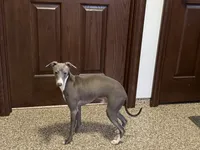 processed/9df88af3-7188-405a-9bb9-986e1332cdaa/listing/ab8b6024-45be-4808-a242-750816a75f19/e6abe2a1-b5d2-4a56-93e6-43aad4c72f67