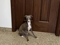 processed/9df88af3-7188-405a-9bb9-986e1332cdaa/listing/ab8b6024-45be-4808-a242-750816a75f19/ec67a7aa-2085-4e22-a6f0-9a45865d150e