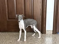 processed/9df88af3-7188-405a-9bb9-986e1332cdaa/listing/b0b25260-eb1f-490f-8608-f0300eada8c9/3d1db450-436d-4e73-b78a-f4239441ceb5