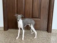 processed/9df88af3-7188-405a-9bb9-986e1332cdaa/listing/b0b25260-eb1f-490f-8608-f0300eada8c9/6a8461db-bb18-4028-9be2-97b20481e4e6