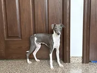 processed/9df88af3-7188-405a-9bb9-986e1332cdaa/listing/b0b25260-eb1f-490f-8608-f0300eada8c9/72e2293c-161e-4590-bf9f-5dd544668527