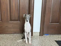 processed/9df88af3-7188-405a-9bb9-986e1332cdaa/listing/b0b25260-eb1f-490f-8608-f0300eada8c9/73a4e612-a470-40b1-8dcf-82542cbe68e4