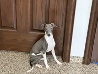 processed/9df88af3-7188-405a-9bb9-986e1332cdaa/listing/b0b25260-eb1f-490f-8608-f0300eada8c9/7cf73042-430e-4e40-812b-0463eb3eb662