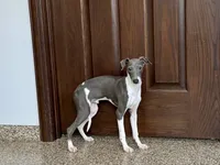 processed/9df88af3-7188-405a-9bb9-986e1332cdaa/listing/b0b25260-eb1f-490f-8608-f0300eada8c9/8aa4711e-4057-4244-bfd4-52b79474a4b5